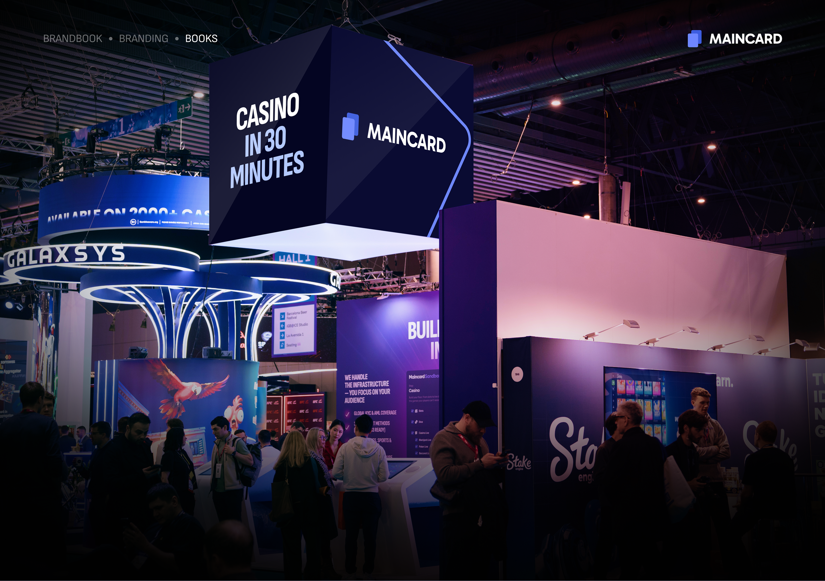 Maincard Brandbook — frame 41