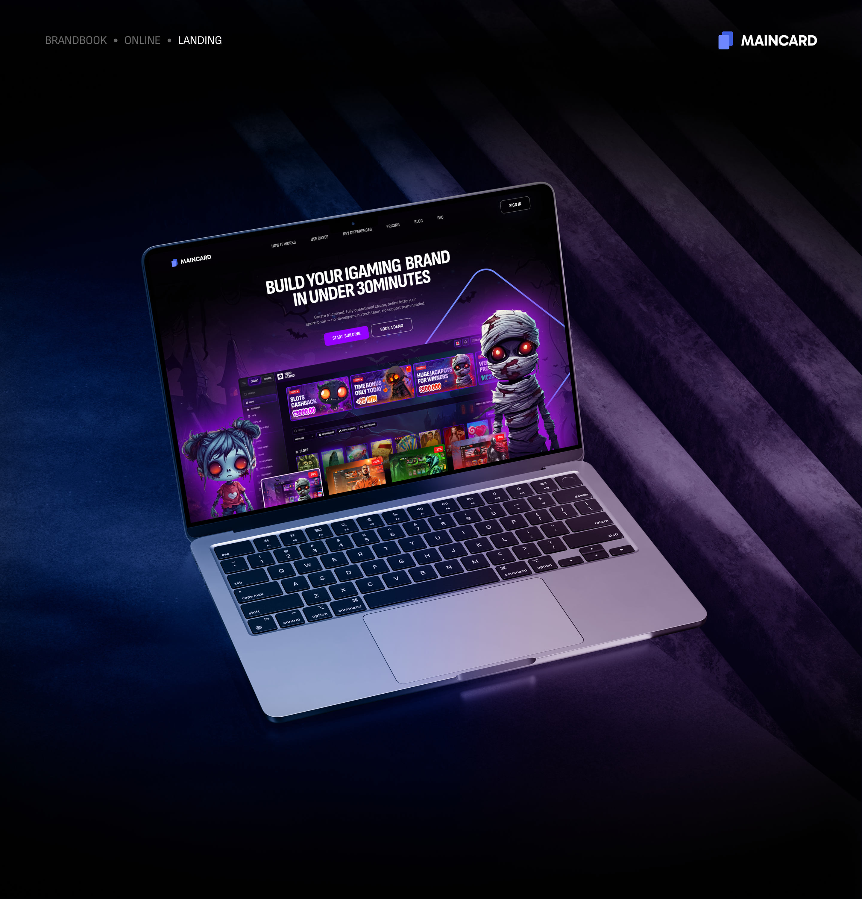 Maincard Brandbook — frame 49